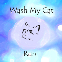 washmycat - Run (Demo 2013)