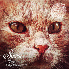 [Suara] Coyu - Party Groovers Vol.3 (Snippets)