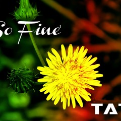 So Fine