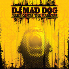 DJ Mad Dog - The flow
