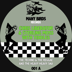 Chris Liberator & Sterling Moss With Tiddles - The Techno & The Reggae And The Heavy Heavy Ska