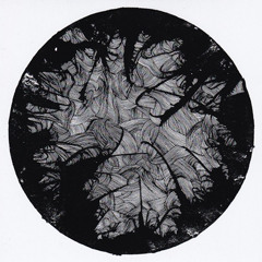 WINDOW - NINE