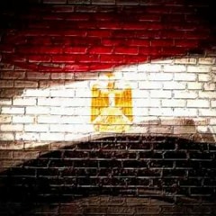 Mohamed Hamaki Dayman 3aysheen- محمد حماقي دايما عايشين