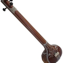 Physically modelled tambura drone #2