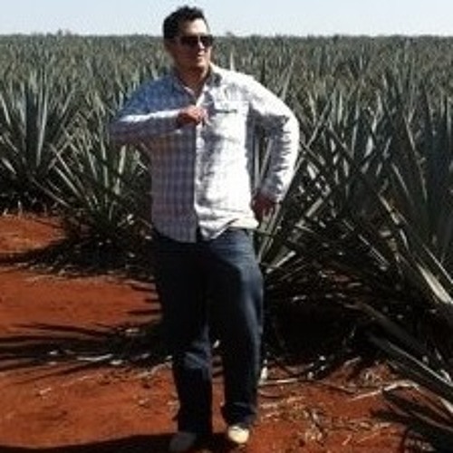 El Amar Y El Querer LBN 2013