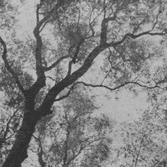 Deine Lakaien - Forest