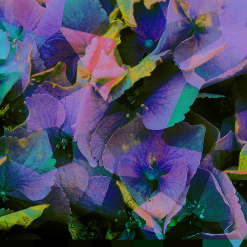 Falling From The Pedestal