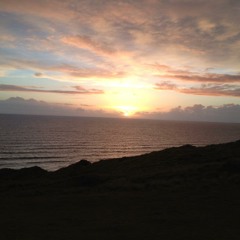 Give it all we got tonight - Song from the Shed