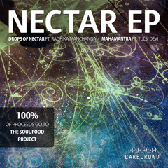 Nectar TEASER - Available on Bandcamp. 100% of proceeds go to the Soul Food Project in india.