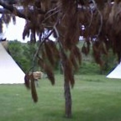 NAC Straight Song # 2