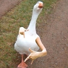 Gangsta Goose