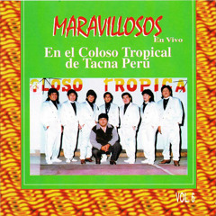 LOS MARAVILLOSOS - al ritmo de los maravillosos