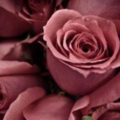 I Love You - Avril Lavigne (cover Tya)