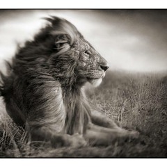 Lions Den INSTRUMENTAL