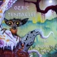 Ozric Tentacles-Plant Music