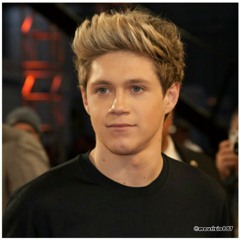 Niall Horans 2010 X-Factor Audition: So Sick