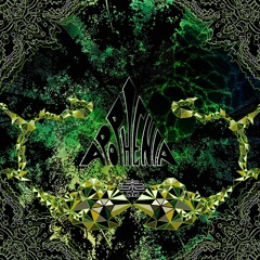 .Fagin's Reject - Funk Pusher(VA - Apophenia Compiled By Psychonotik)