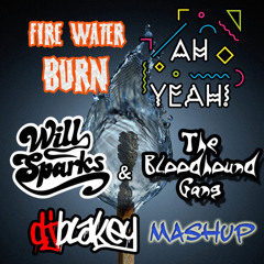 Will Sparks vs Bloodhound Gang - Fire Water Burn Ah Yeah?(Dj Blakey Mashup)