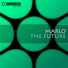 MaRLo - The Future