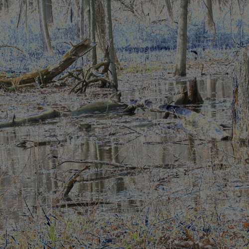 Exoteric Descent - AVR and CFB