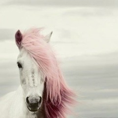 CutiePieMarzia Background Music