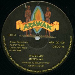 Label: Arawak (UK)1979 _______12'' Vinyl __by MARCIO ROOTS