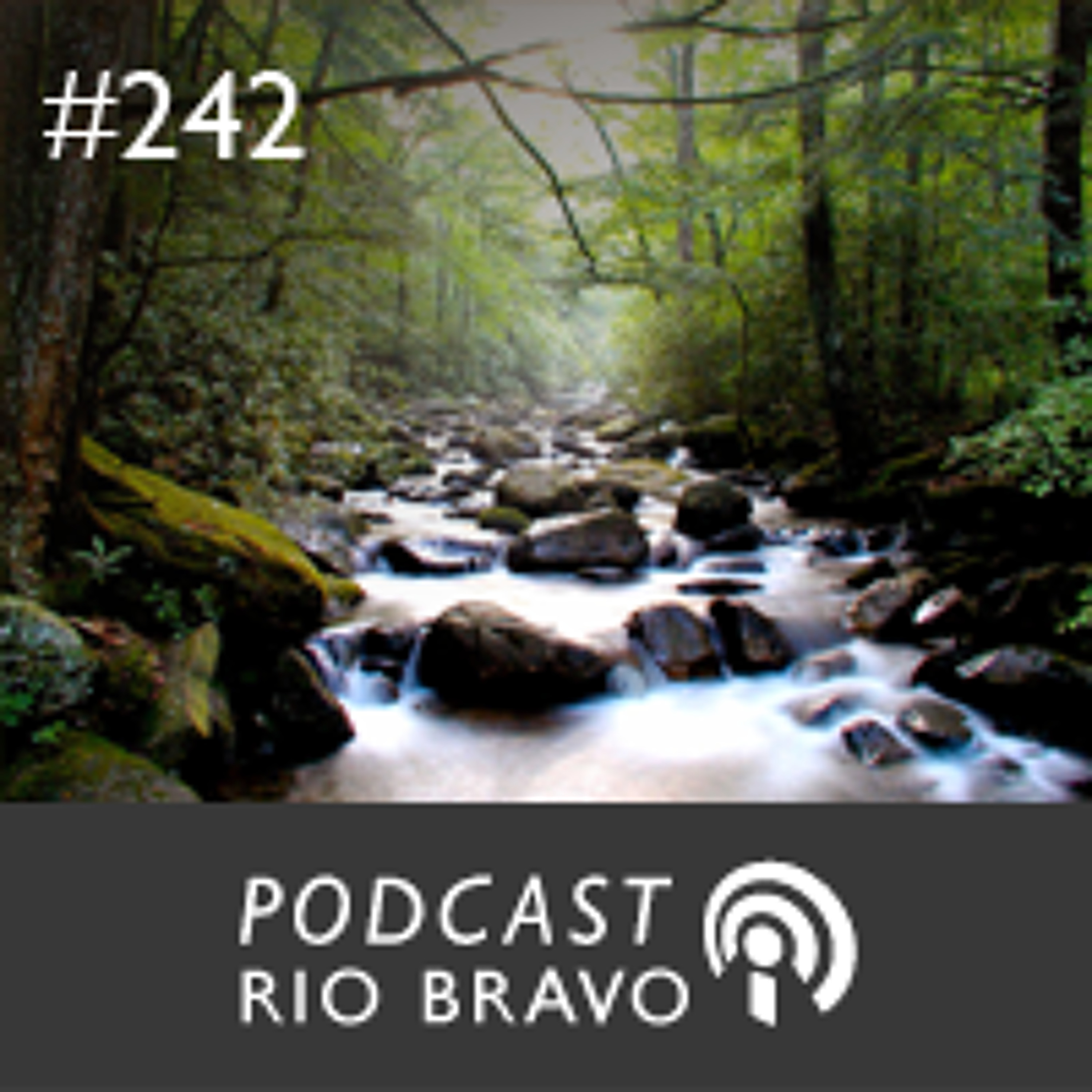 Podcast Rio Bravo - 2013