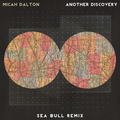 Another Discovery (Sea Bull Remix)