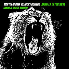 Martin Garrix vs. Nicky Romero - Animals In Toulouse(Saunt & Darga Private Mashup)