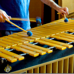 Valsa Clara (Bruno Duarte e Ricardo Barros)