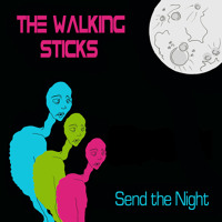 The Walking Sticks - Send The Night