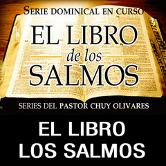 14 - Chuy Olivares - Salmo 133 - Un salmo de unidad y de armonia