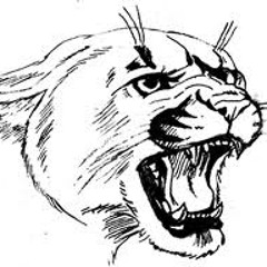 Puma Pride (Feat. Rocketeer)