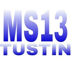 REGGAETON MS13