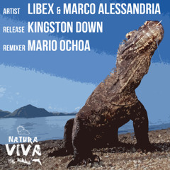 Libex & Marco Alessandria - Kingston Down (Mario Ochoa remix)