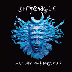 Shpongle - Divine Moments Of Truth