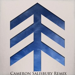 Up Up Up - The Mast (Cameron Salisbury Remix)