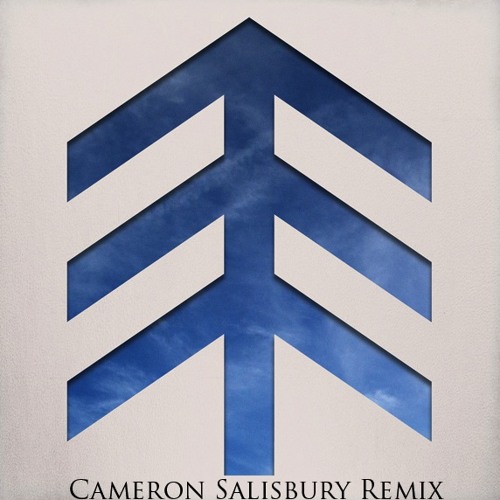 Up Up Up - The Mast (Cameron Salisbury Remix)