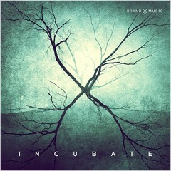 End Of The World_R Bell_Brand X Music_Incubate