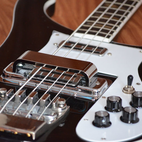 Rickenbacker giannini deals