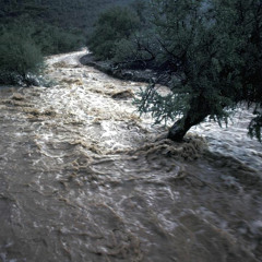 Deluge (Original Mix)