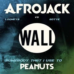 Afrojack Vs Looneys & Gotye - Somebody That I Use To Peanuts (Meseta Summer  Splash Up)