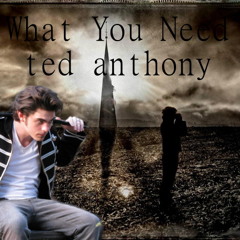 What You Need (Les Friction Cover)