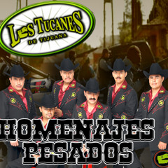 los tucanes 2014
