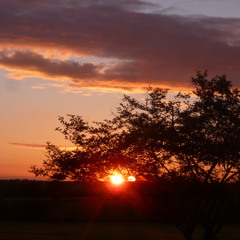 The servant king (instrumental)