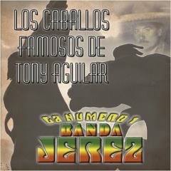 Hace Un Año