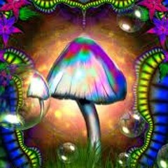 Durty Ritchie Kid - Psychadelic Nightmare