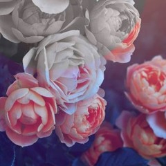 شرف الكون - طاهر النصّار