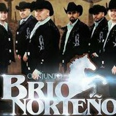 Chulita-Conjunto Brio Norteño