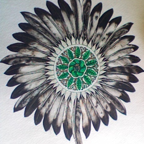 Feathered❀Flower By Solwind